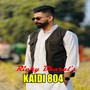 Kaidi 804