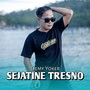 Sejatine Tresno