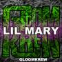 Lil Mary (feat. Gloomy.44, Yung Loot & Pr0found) [Explicit]