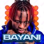 Bayani