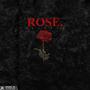 ROSE (Explicit)