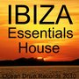 IBIZA Essentials House