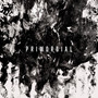 Primordial