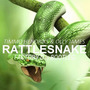 Rattlesnake (Factory DJs Bootie)