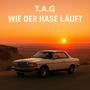 Wie der Hase läuft