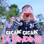 Cicak Cicak Di Dinding (Minus One)