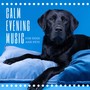 Calm Evening Music for Dogs and Pets