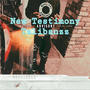 New Testimony (4in1) [Explicit]