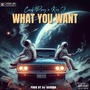 What you want (feat. Kris J) [Explicit]