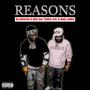 Reasons (Explicit)