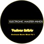 Electronic Master Minds, Vol. 1