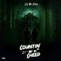 Countin' Sheep (Explicit)