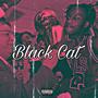 Black Cat (Explicit)