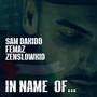 IN NAME OF... (feat. SAM DAKIDD, FEMAZ, YoYo & ZENSLOWKID) [Explicit]