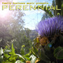 Perennial