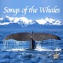 Songs Of The Whales