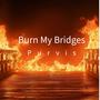 Burn My Bridges