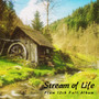 Stream of Life