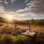 Music For Tranquil Mornings And Soft Beginnings