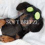 Soft Breeze