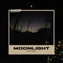 Moonlight (like a firefly)
