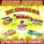 Puros Exitos De Sinaloa