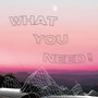 What You Need !