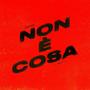 Non È Cosa (feat. LTNF) [Explicit]