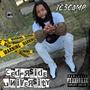 Cedarside University (Explicit)