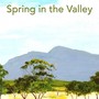 Spring in the Valley