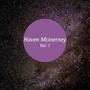 Haven Mcinerney, Vol. 1