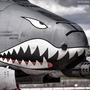 A-10 Warthog (feat. Amir Nejati)