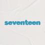 Seventeen (Pop Punk Version)