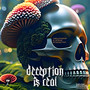 Deception is real (Radio version)