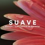 Suave - Música para Masajes, Spa, Centros de Bienestar