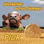 Wunderbar es ist Sommer