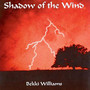 Shadow Of The Wind