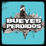 Bueyes Perdidos