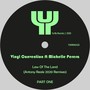 Law Of The Land, Pt. 1 (Antony Reale 2020 Remixes)