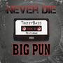 Never Die (feat. Big Punisher) [Explicit]
