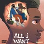 All I Want (Explicit)