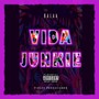 Vida Junkie (Explicit)