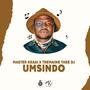 Umsindo (feat. Tremaine Thee Deejay)