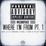 Where I'm From, Pt. 1 (Explicit)