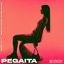 Pegaita (Beat Reggaeton) (feat. Vilozio)