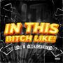 In This ***** Like! (feat. IamLilCREEDTAVO) [Explicit]