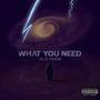 What You Need (Explicit)