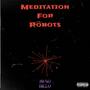 Meditation For Robots (Explicit)