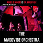 The Maddvibe Orchestra