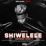 Shiwelele (feat. Toniey C)